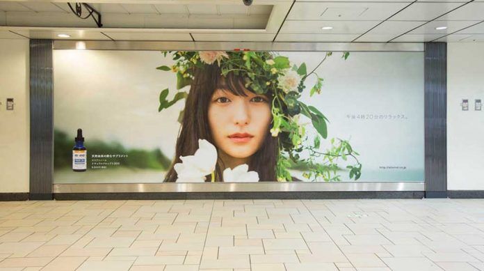 Quảng cáo chiết xuất CBD